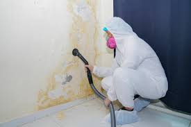 Mold Remediation for Rental Properties in West Bradenton, FL